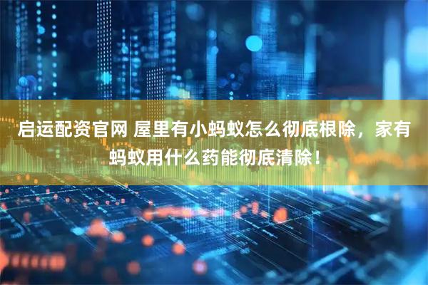 启运配资官网 屋里有小蚂蚁怎么彻底根除，家有蚂蚁用什么药能彻底清除！