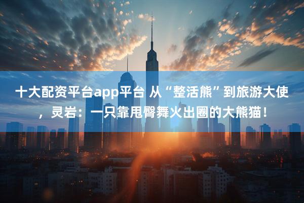 十大配资平台app平台 从“整活熊”到旅游大使，灵岩：一只靠甩臀舞火出圈的大熊猫！