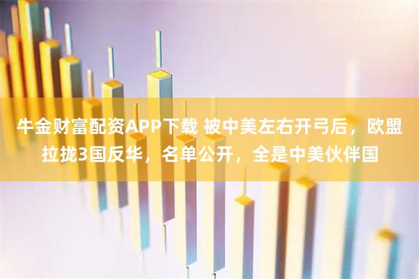 牛金财富配资APP下载 被中美左右开弓后，欧盟拉拢3国反华，名单公开，全是中美伙伴国