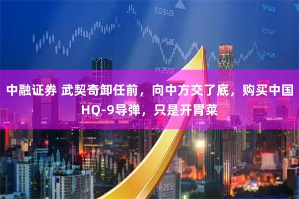 中融证券 武契奇卸任前，向中方交了底，购买中国HQ-9导弹，只是开胃菜